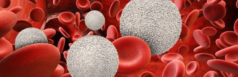 Conociendo Tu Sangre: Interpretación Preventiva Del Hemograma