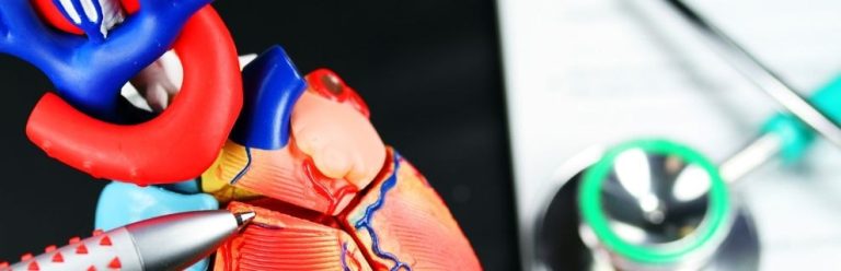 Monitoreo Cardíaco Casero: Guía Paso A Paso Para Tu Salud