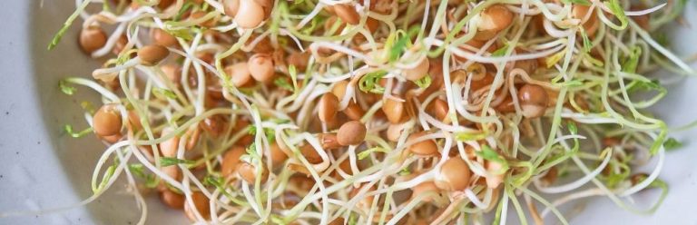 Ensalada Probiótica de Lentejas: Una Fiesta Para Tu Intestino